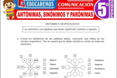Ejercicios de Antónimos, Sinónimos y Parónimas para Quinto Grado de Primaria