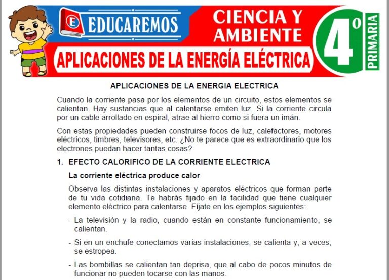 Ciencia y Ambiente para Cuarto de Primaria » (39 Fichas GRATIS) 📚