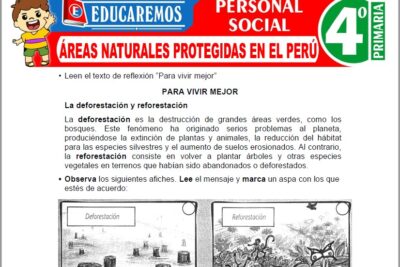 Ejercicios de Áreas Naturales Protegidas en el Perú para Cuarto Grado de Primaria