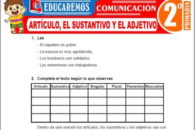 Ejercicios de Artículo, el Sustantivo y el Adjetivo para Segundo Grado de Primaria