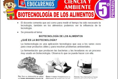 Ejercicios de Biotecnología de los Alimentos para Quinto Grado de Primaria