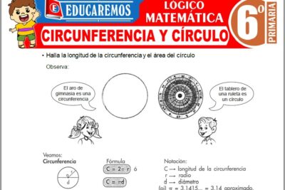 Ejercicios de Circunferencia y Círculo para Sexto Grado de Primaria