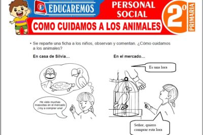 Ejercicios de Como Cuidamos a los Animales para Segundo Grado de Primaria