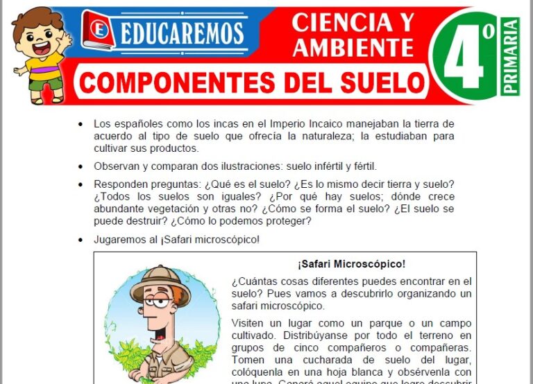 Componentes del Suelo para Cuarto de Primaria » (Fichas GRATIS) 📚