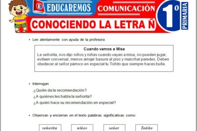 Ejercicios de Conociendo la Letra Ñ para Primer Grado de Primaria