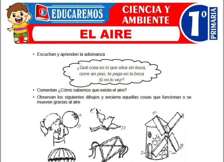 Ciencia y Ambiente para Primero de Primaria » (32 Fichas GRATIS) 📚