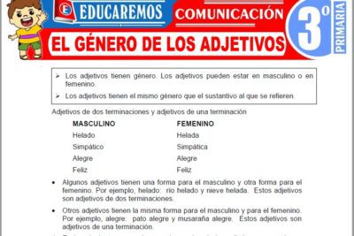 Ejercicios del Género de los Adjetivos para Tercer Grado de Primaria