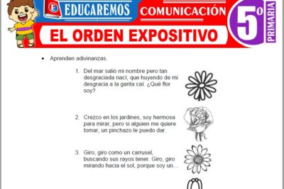 Ejercicios del Orden Expositivo para Quinto Grado de Primaria