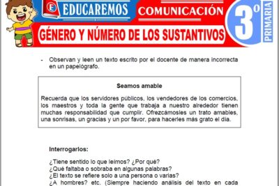 Ejercicios de Género y Número de los Sustantivos para Tercer Grado de Primaria