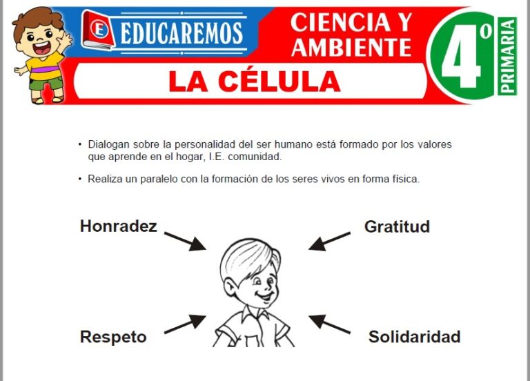 Ciencia y Ambiente para Cuarto de Primaria » (39 Fichas GRATIS) 📚
