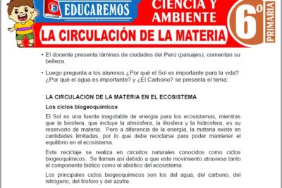 Ejercicios de La Circulación de la Materia para Sexto Grado de Primaria