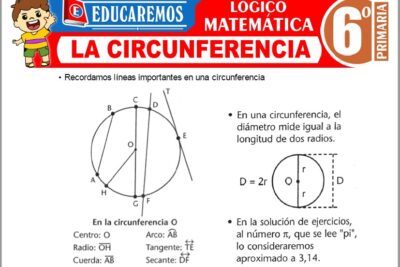 Ejercicios de La Circunferencia para Sexto Grado de Primaria