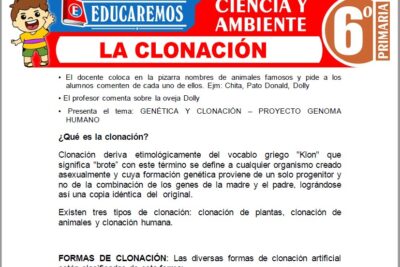 Ejercicios de La Clonación para Sexto Grado de Primaria