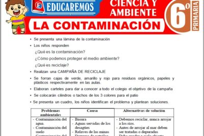 Ejercicios de La Contaminación para Sexto Grado de Primaria