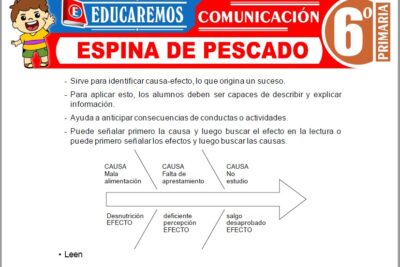 Ejercicios de La Espina de Pescado para Sexto Grado de Primaria