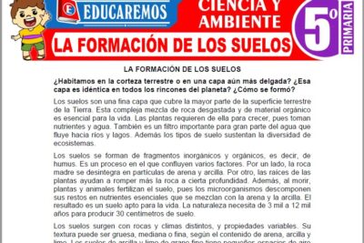 Ejercicios de La Formación de los Suelos para Quinto Grado de Primaria
