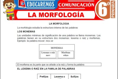 Ejercicios de La Morfología para Sexto Grado de Primaria