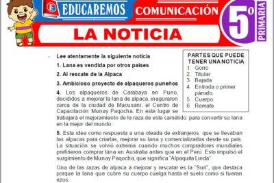 Ejercicios de La Noticia para Quinto Grado de Primaria