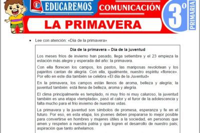 Ejercicios de La Primavera para Tercer Grado de Primaria