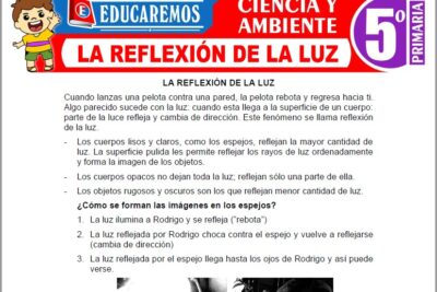 Ejercicios de La Reflexión de la Luz para Quinto Grado de Primaria