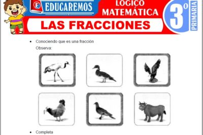 Ejercicios de Las Fracciones para Tercer Grado de Primaria