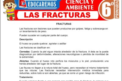 Ejercicios de Las Fracturas para Sexto Grado de Primaria