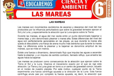 Ejercicios de Las Mareas para Sexto Grado de Primaria