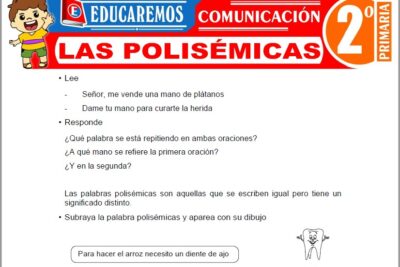 Ejercicios de Las Polisémicas para Segundo Grado de Primaria