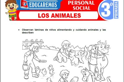 Ejercicios de Los Animales para Tercer Grado de Primaria