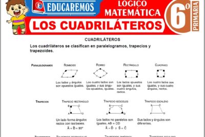 Ejercicios de Los Cuadriláteros para Sexto Grado de Primaria