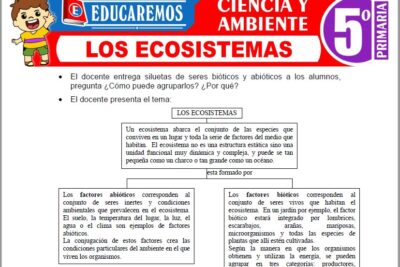 Ejercicios de Los Ecosistemas para Quinto Grado de Primaria