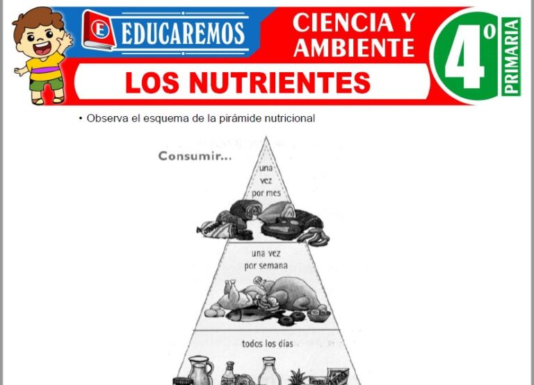 Los Nutrientes para Cuarto de Primaria » (Fichas GRATIS) 📚