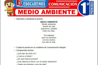 Ejercicios de Medio Ambiente para Primer Grado de Primaria