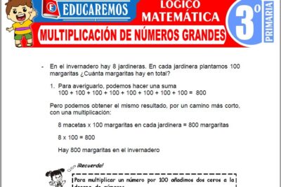 Ejercicios de Multiplicación de Números Grandes para Tercer Grado de Primaria