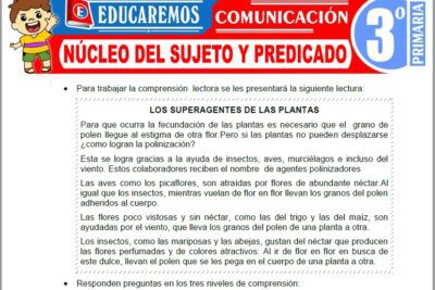 Ejercicios de Núcleo del Sujeto y Predicado para Tercer Grado de Primaria