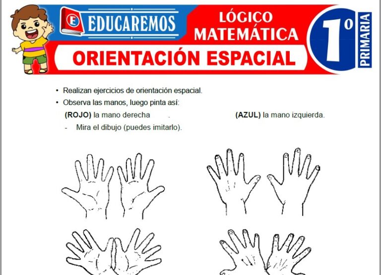 Orientación Espacial para Primero de Primaria » (Fichas GRATIS) 📚