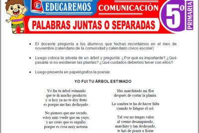 Ejercicios de Palabras Juntas o Separadas para Quinto Grado de Primaria