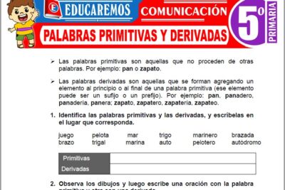 Ejercicios de Palabras Primitivas y Derivadas para Quinto Grado de Primaria