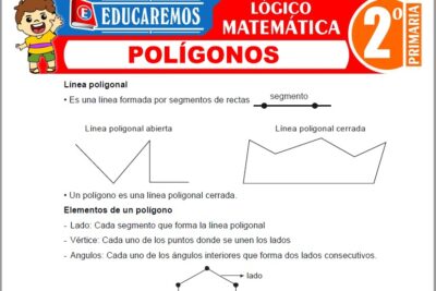 Ejercicios de Polígonos para Segundo Grado de Primaria