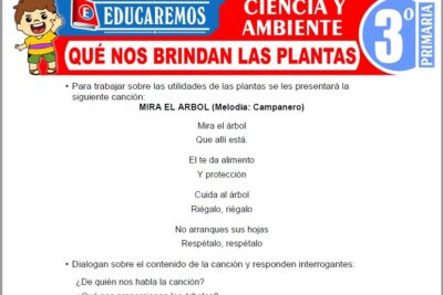 Ejercicios de Qué Nos Brindan Las Plantas para Tercer Grado de Primaria