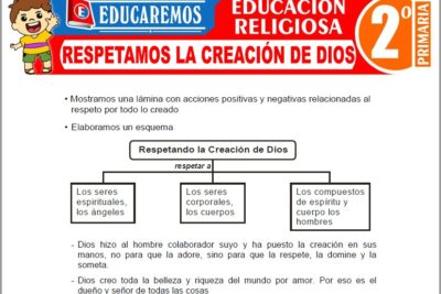 Ejercicios de Respetamos la Creación de Dios para Segundo Grado de Primaria