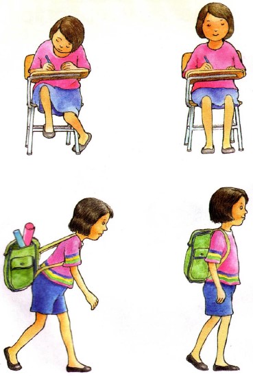 Ejercicios del Esqueleto Humano para Segundo Grado de Primaria