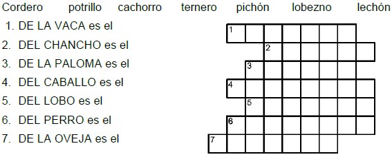 Ejercicios de Sustantivos Individuales y Colectivos para Tercer Grado de Primaria