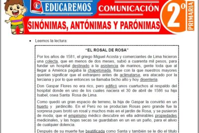 Ejercicios de Sinónimas, Antónimas y Parónimas para Segundo Grado de Primaria