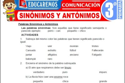 Ejercicios de Sinónimos y Antónimos para Tercer Grado de Primaria