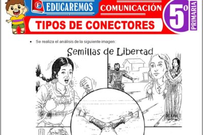 Ejercicios de Tipos de Conectores para Quinto Grado de Primaria