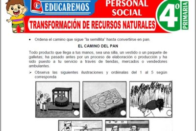 Ejercicios de Transformación de Recursos Naturales para Cuarto Grado de Primaria