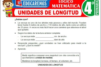 Ejercicios de Unidades de Longitud para Cuarto Grado de Primaria